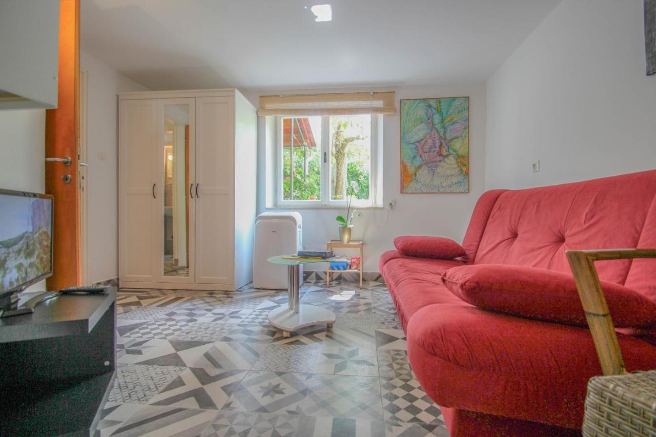 Carla Guest House Novigrad Istria Esterno foto
