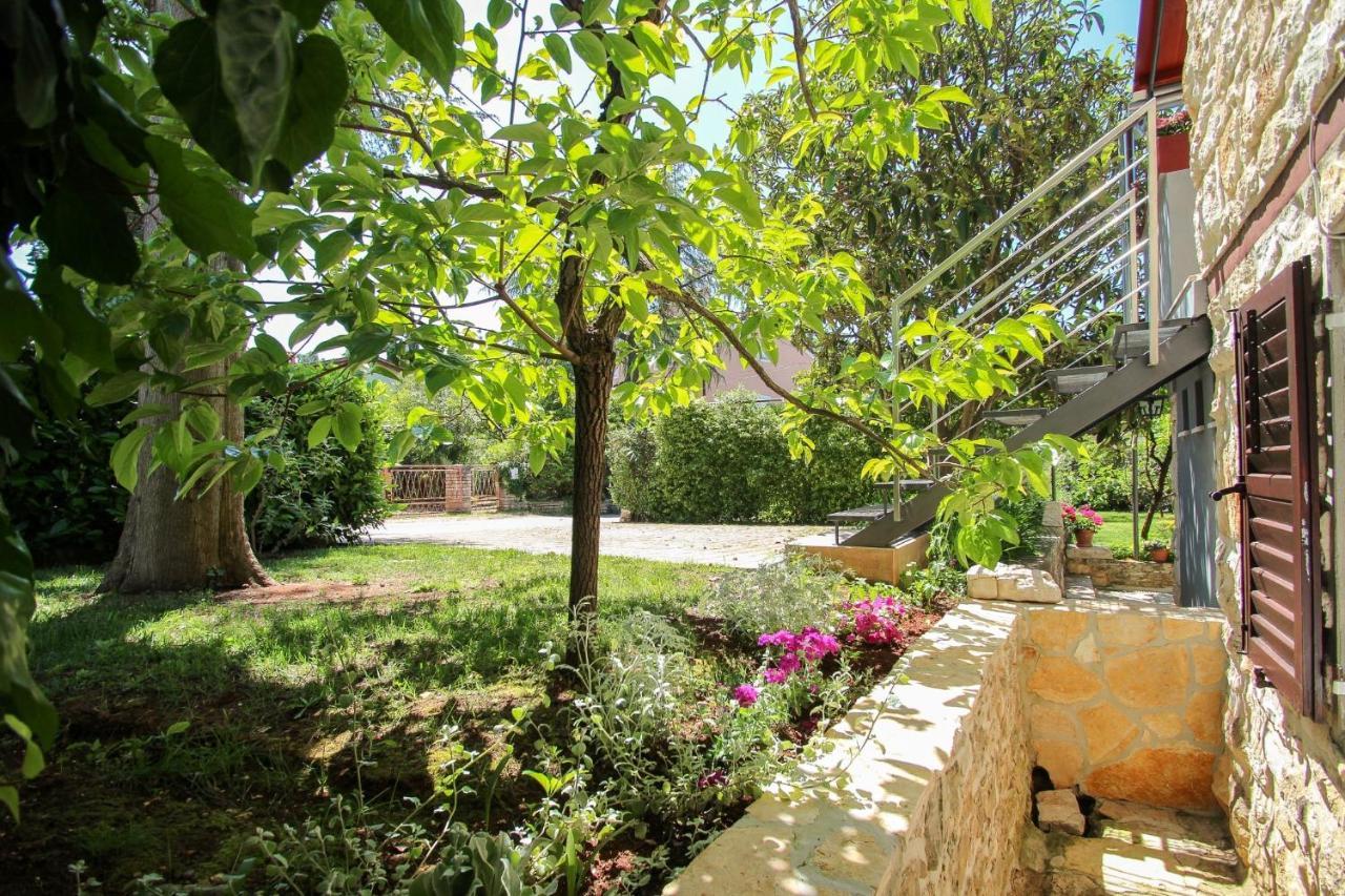 Carla Guest House Novigrad Istria Esterno foto