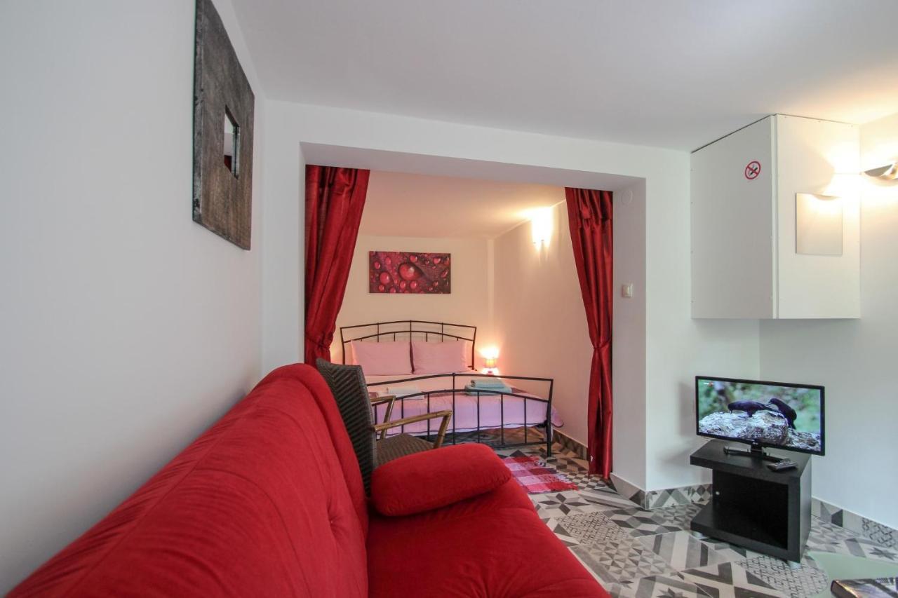 Carla Guest House Novigrad Istria Esterno foto