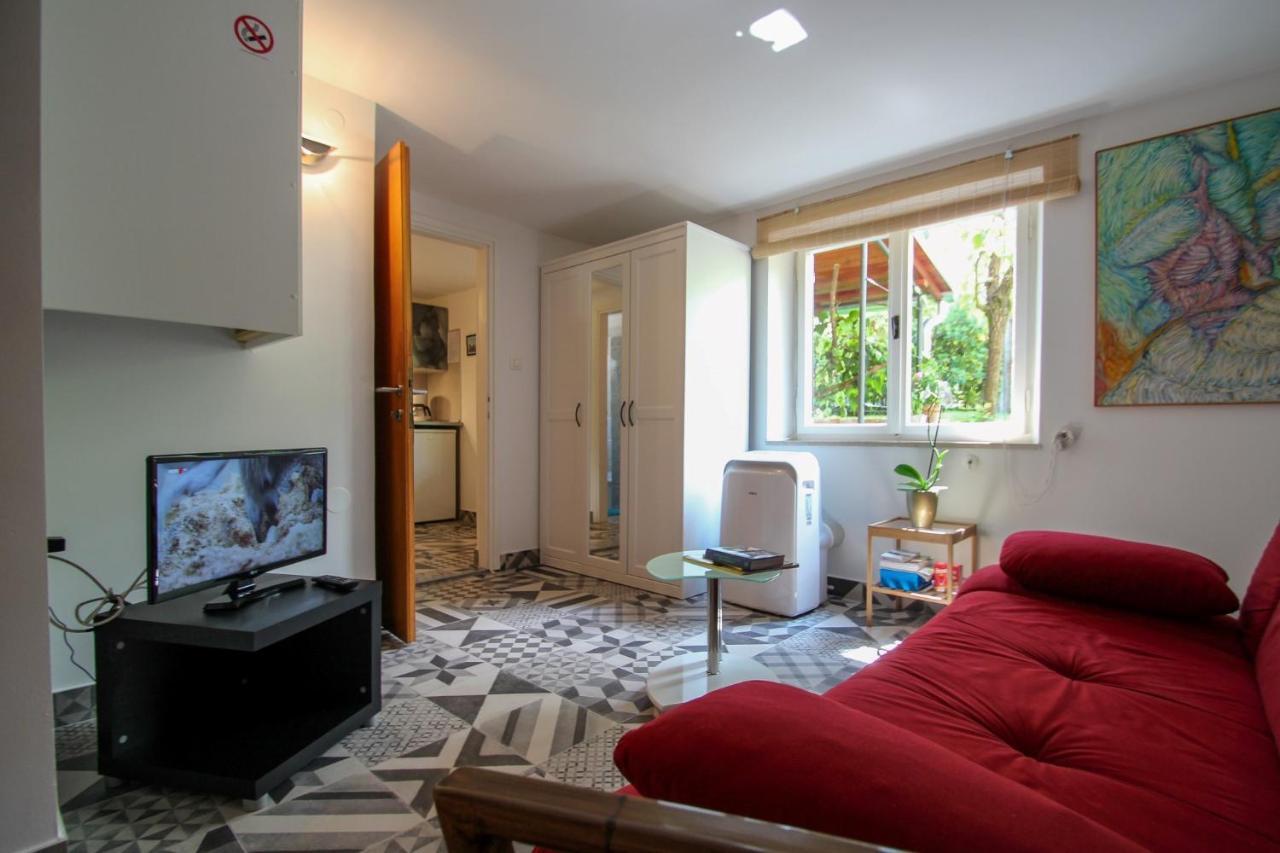 Carla Guest House Novigrad Istria Esterno foto